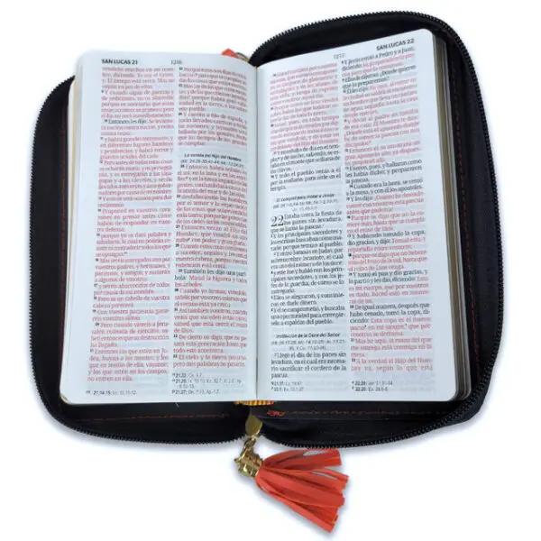 Biblia RVR60 Chequera Beige-Café/ Cierre - Imagen 3