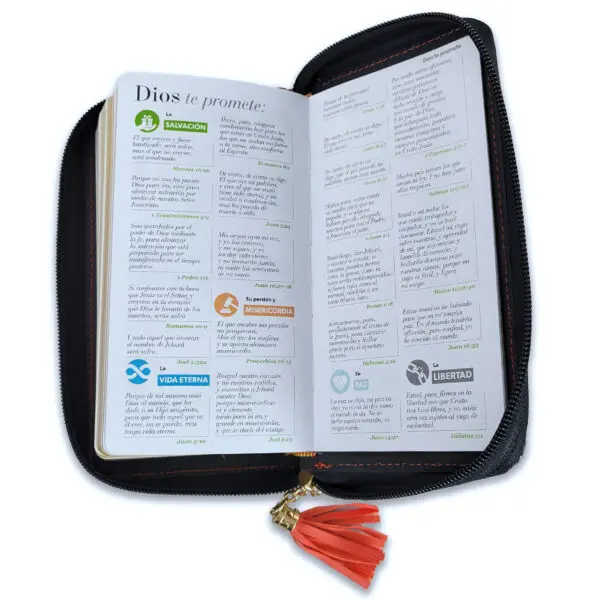Biblia RVR60 Chequera Coral-Gris/ Cierre - Imagen 2