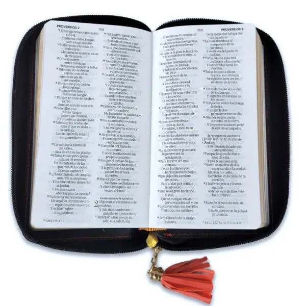 Biblia RVR60 Chequera Coral-Gris/ Cierre - Imagen 4