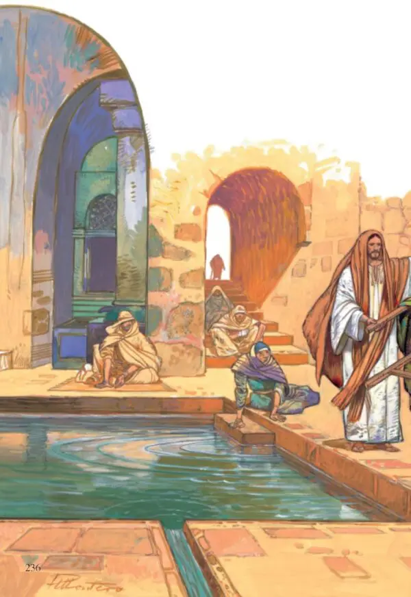 La Biblia Ilustrada/ José Pérez Montero - Imagen 3