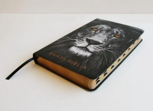 Biblia RV60 Letra Grande León/Símil Piel Índice - Imagen 5