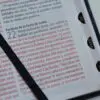 Biblia RV60 Letra Grande León/Símil Piel Índice - Imagen 3