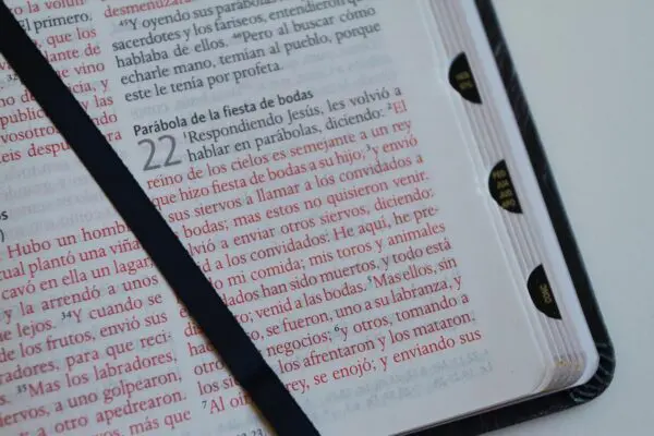Biblia RV60 Letra Grande León/Símil Piel Índice - Imagen 3