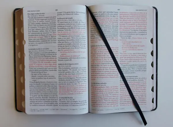 Biblia RV60 Letra Grande León/Símil Piel Índice - Imagen 4