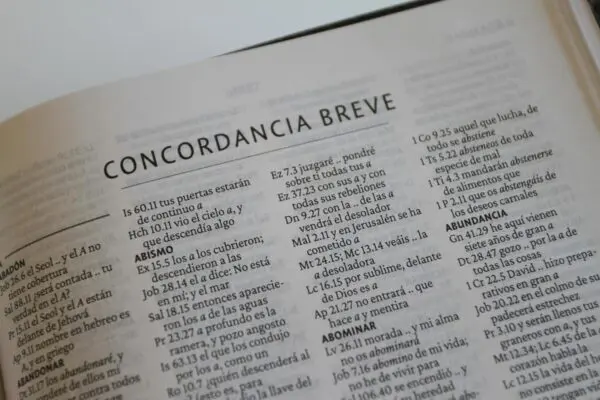 Biblia RV60 Letra Grande León/Símil Piel Índice - Imagen 2