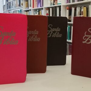Biblia RV60/King James Forrada