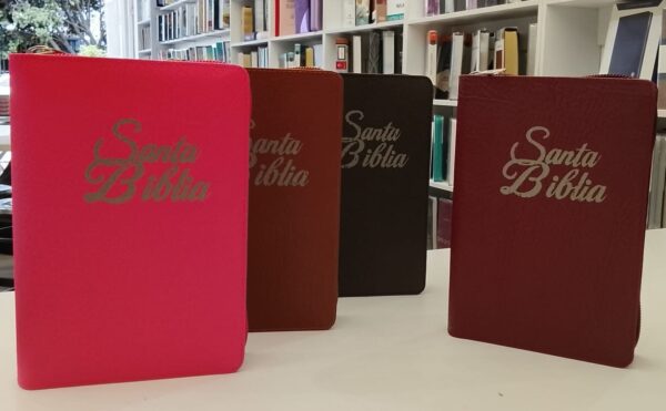 Biblia RV60/King James Forrada