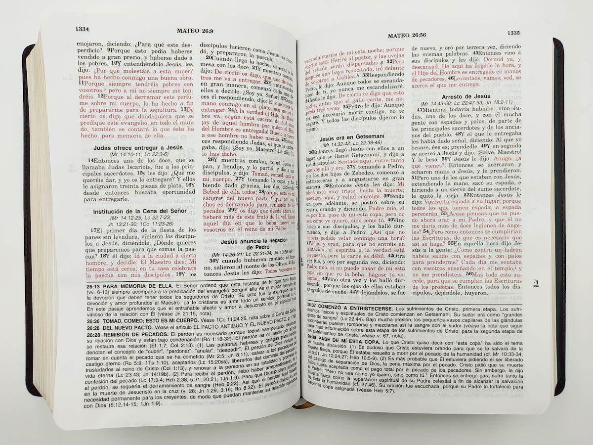 RVR 1960 Vida Plena Dúo - Imagen 2