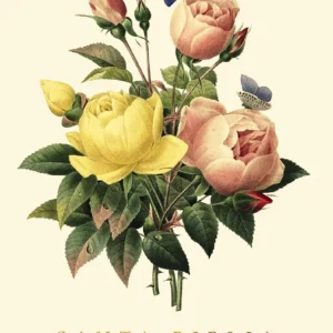Biblia RVR60/Premios Y Regalos/ Flor Tapa Dura