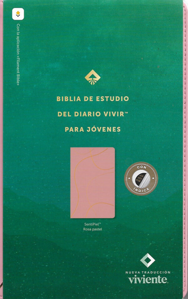 Biblia NTV de Estudio Diario Vivir para Jóvenes