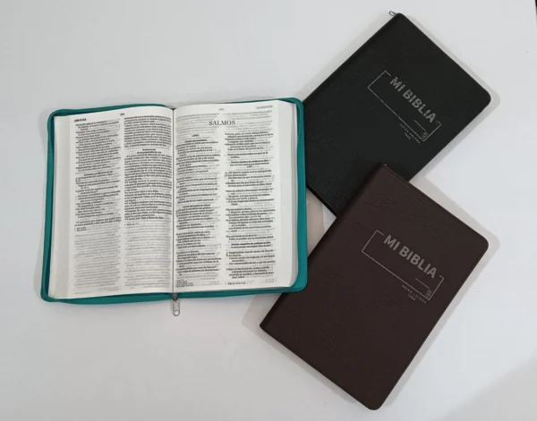 RVR60 Biblia Económica Tamaño Manual/Forrada - Imagen 2