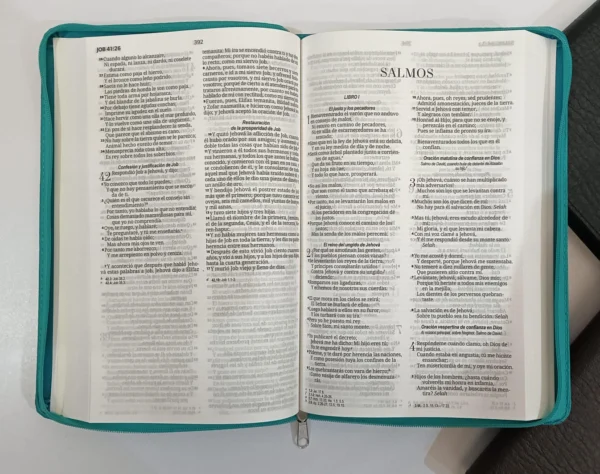 RVR60 Biblia Económica Tamaño Manual/Forrada - Imagen 3