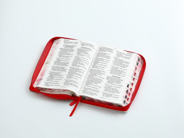 Biblia RV60 Rojo Mariposa Manija Pretty - Imagen 4