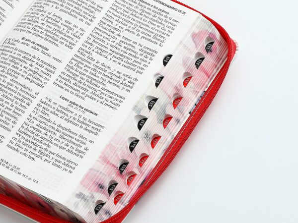 Biblia RV60 Rojo Mariposa Manija Pretty - Imagen 3