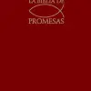 Biblia De Promesas Economica Vino
