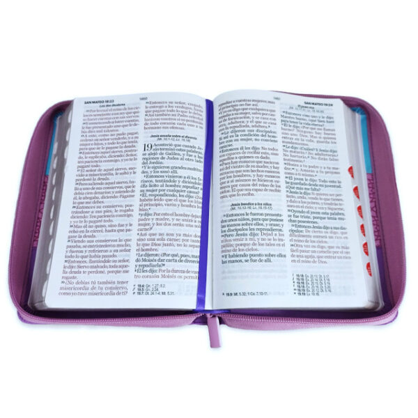 Biblia Reina Valera Tricolor Azul/Rosa/Lila - Imagen 3