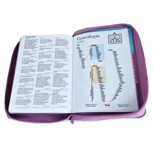 Biblia Reina Valera Tricolor Azul/Rosa/Lila - Imagen 2