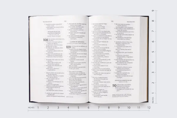 Biblia RVR60/ Premios Y Regalos/ Negro Tapa Dura - Imagen 2