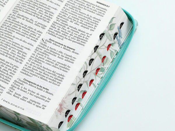 Biblia Rv60Turquesa Manija Pretty - Imagen 4