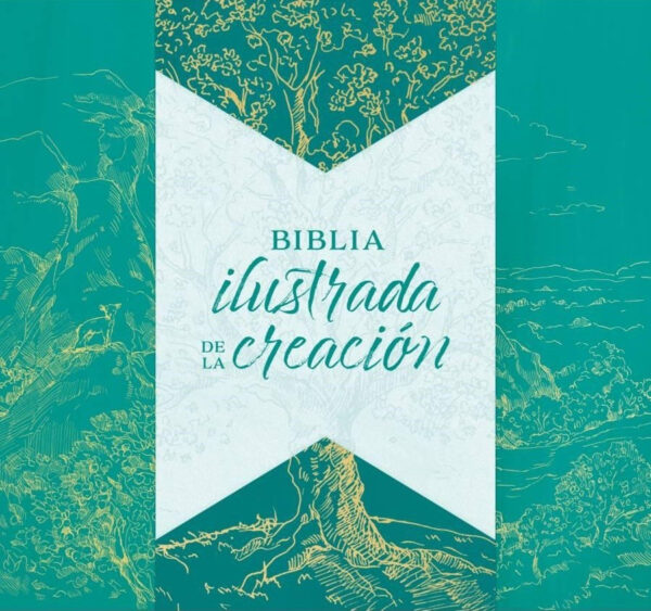 Biblia RVR1960 Ilustrada De La Creación Turquesa