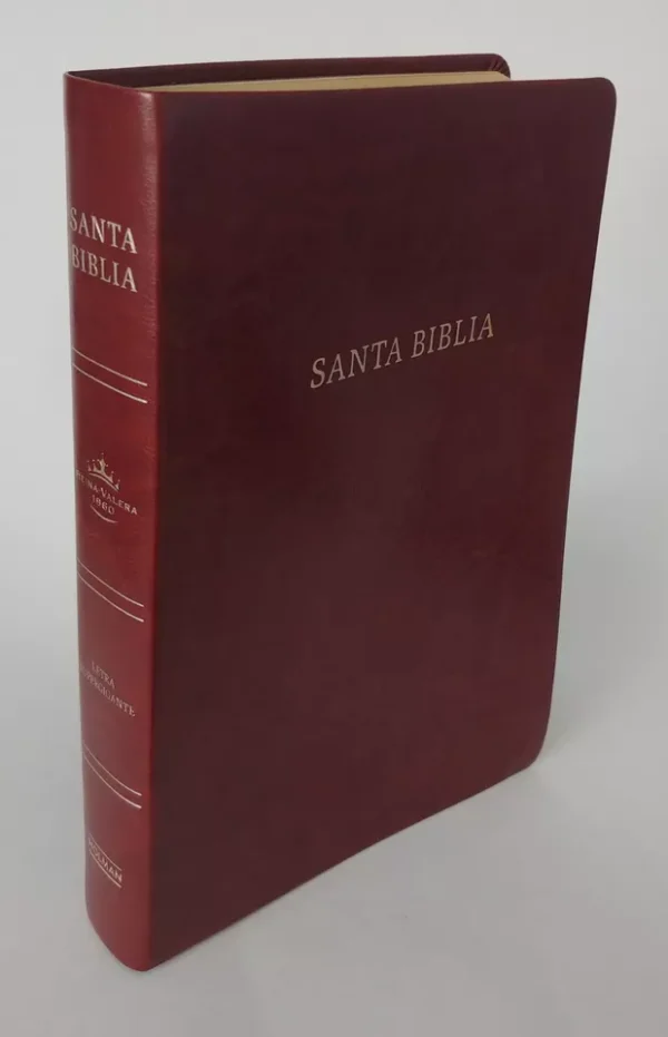 Biblia RVR 1960 Letra Súper Gigante Marrón - Imagen 3