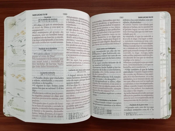 Biblia RVR60/045c/cp/LG/PJR/Coleccion Primaveral Marron - Imagen 3