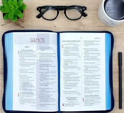 Biblia/RVR065CZLG/Canto Azul - Imagen 2