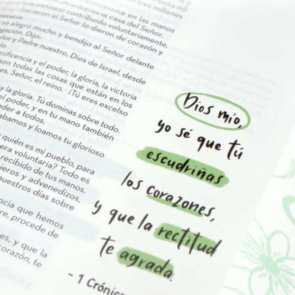 Biblia Arte /RVC086/ Verde - Imagen 3