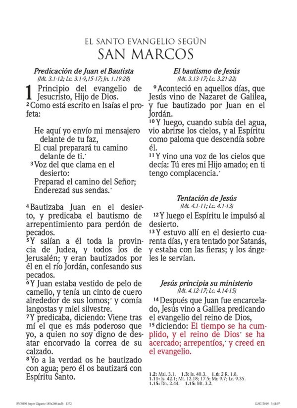 Biblia RVR60  Súper Gigante Símil Piel Rosa Claro - Imagen 2