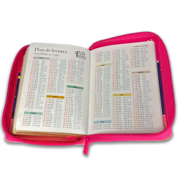 Biblia de Bolsillo RV1960 Fucsia/Lila/ Rosa Luna/ Buho - Imagen 2