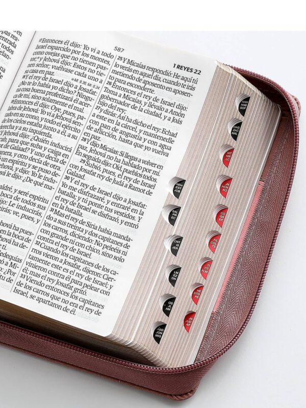 Biblia RVR1960 Sentí Piel Bicolor Coral Rosa - Imagen 2