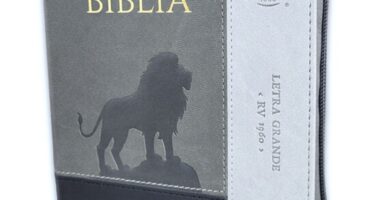 Biblia RVR1960 Sentí piel Tricolor Gris, Gris Oscuro, Gris León