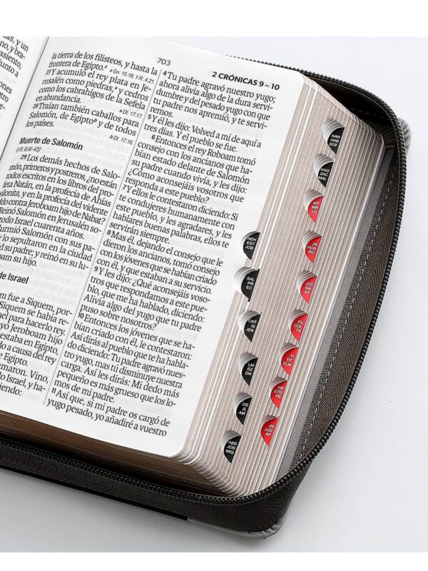 Biblia RVR1960 Sentí Piel Tricolor Gris, Gris Oscuro, Gris León - Imagen 3