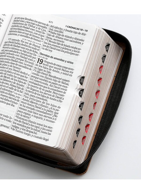 Biblia RVR1960 Sentí Piel Bicolor Negro, Café - Imagen 3