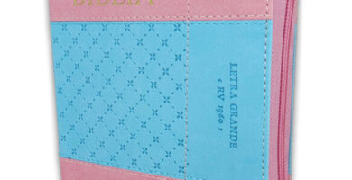 Biblia RVR1960 Sentí Piel Bicolor Rosa, Azul