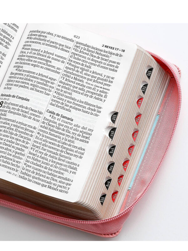 Biblia RVR1960 Sentí Piel Bicolor Rosa, Azul - Imagen 3