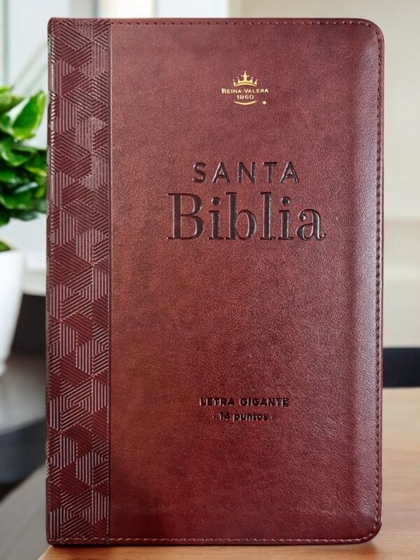 Biblia RVR1960 Colección Corinto Café Letra Gigante