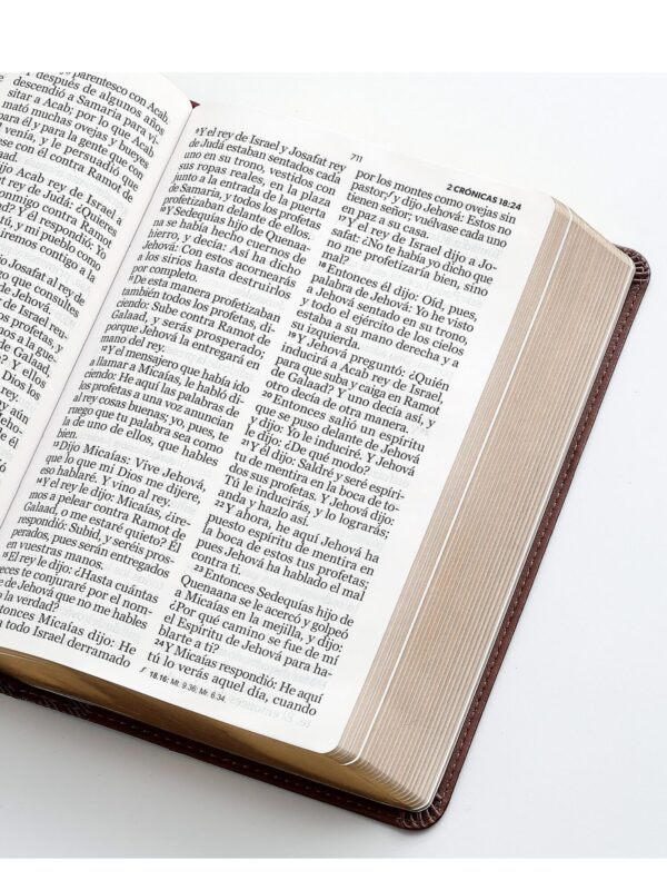 Biblia RVR1960 Colección Corinto Café Letra Gigante - Imagen 3