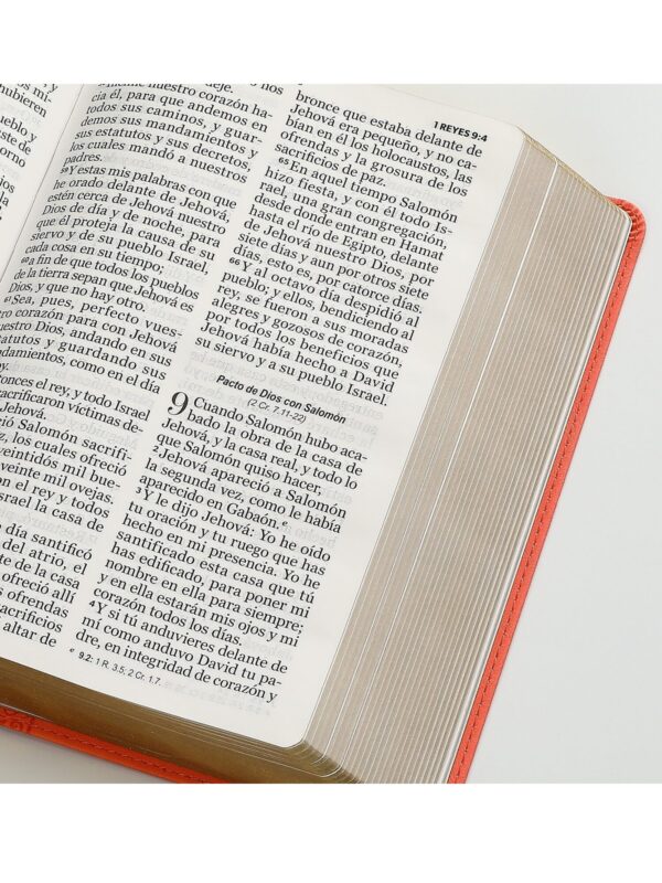 Biblia RVR1960 Letra Gigante Sentí Piel Coral - Imagen 3