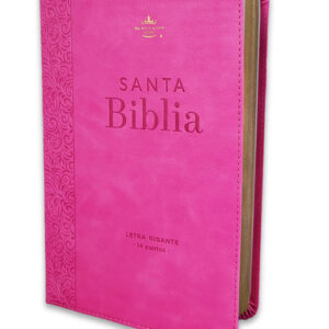 Biblia RVR1960 Letra Gigante Sentí Piel Rosa