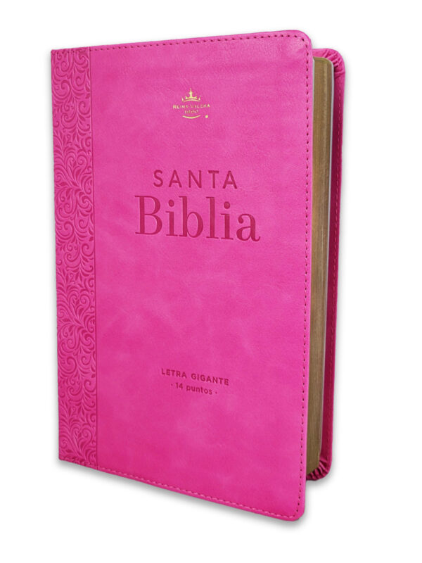 Biblia RVR1960 Letra Gigante Sentí Piel Rosa