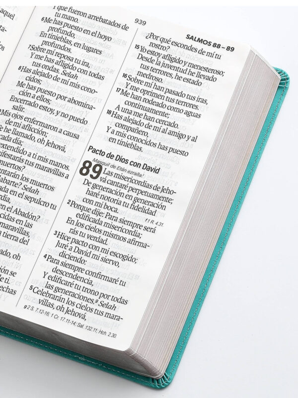 Biblia RVR1960 Super Gigante Turquesa, Éfeso - Imagen 3