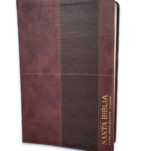 Biblia RVR1960 Super Gigante Con Índice, Café, Gris, Éfeso