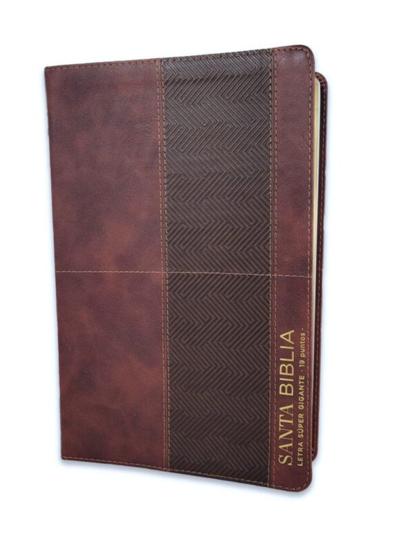 Biblia RVR1960 Super Gigante Con Índice, Café, Gris, Éfeso