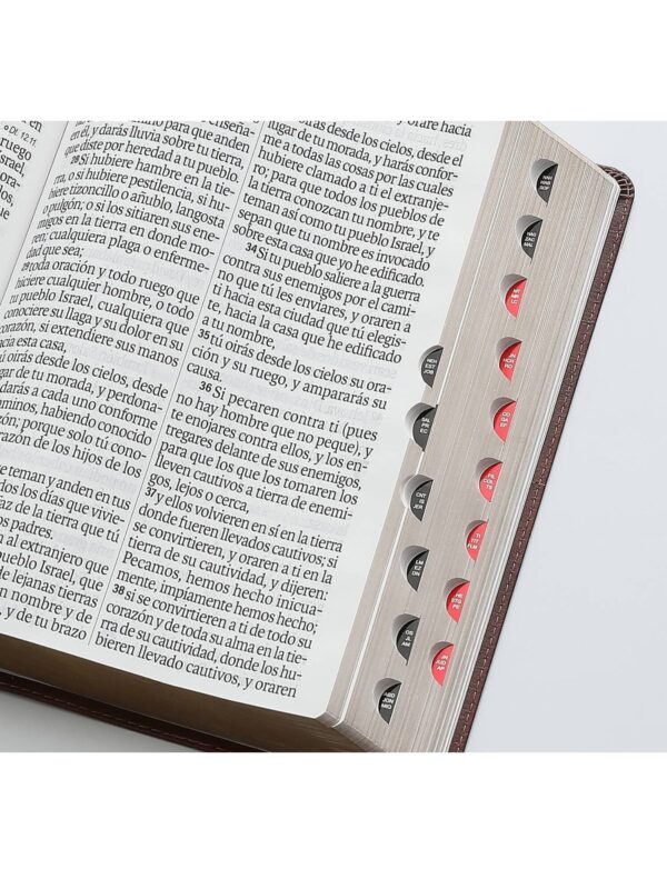 Biblia RVR1960 Super Gigante Con Índice, Café, Gris, Éfeso - Imagen 3