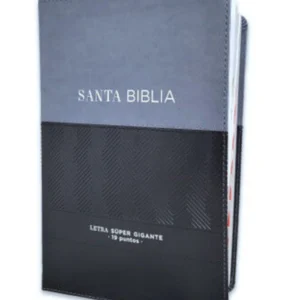 Biblia RVR1960 Super Gigante Con Índice Negro, Gris, Éfeso