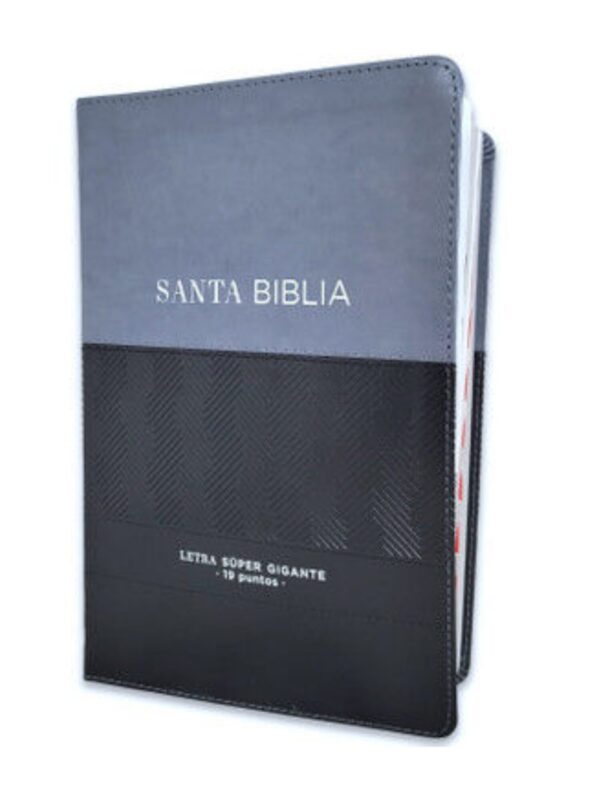 Biblia RVR1960 Super Gigante Con Índice Negro, Gris, Éfeso