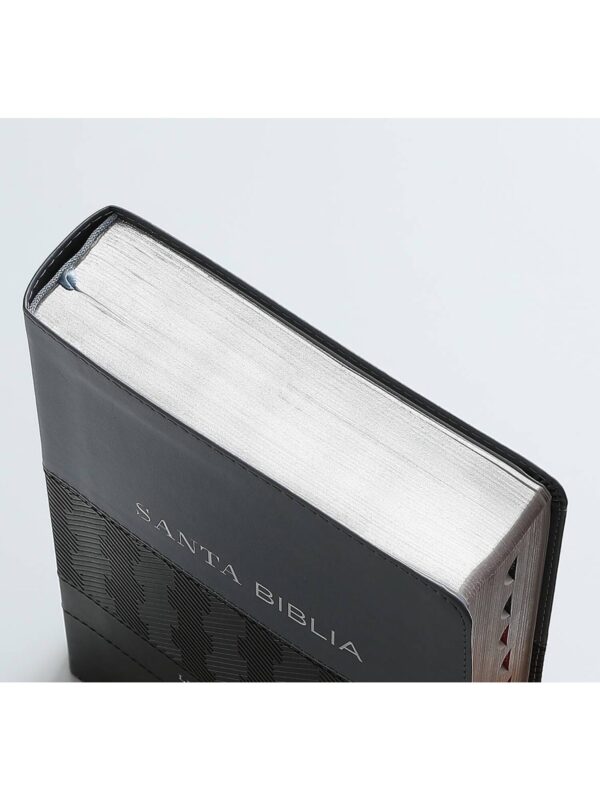 Biblia RVR1960 Super Gigante Con Índice Negro, Gris, Éfeso - Imagen 2