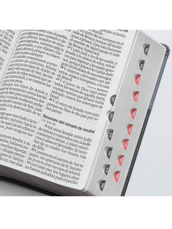 Biblia RVR1960 Super Gigante Con Índice Negro, Gris, Éfeso - Imagen 3