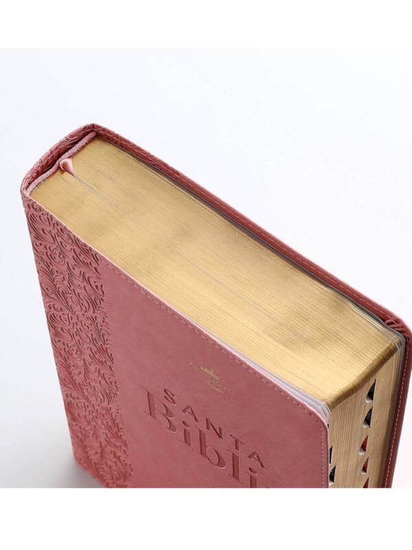 Biblia RVR1960 Super Gigante con Índice Rosa, Éfeso - Imagen 2